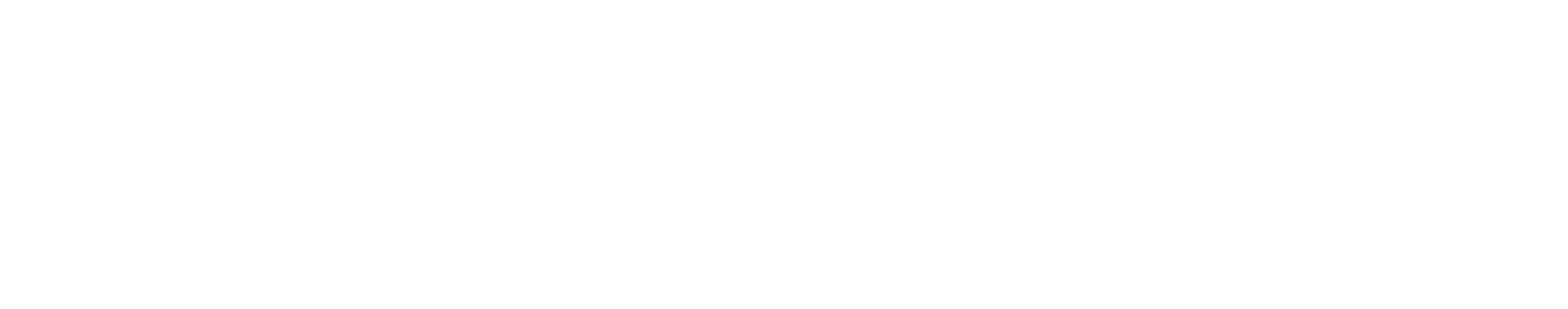 ca-SUS